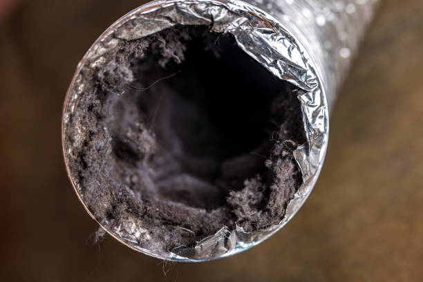 Best Air Duct Cleaning Near Me in CO