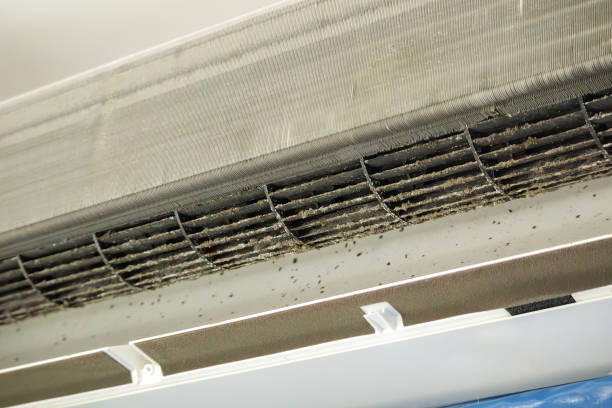 Best HVAC Duct Inspection Services  in Ken Caryl, CO